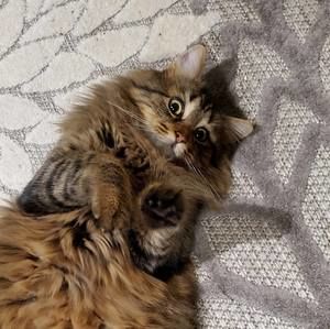 Meet your Posher, Maria